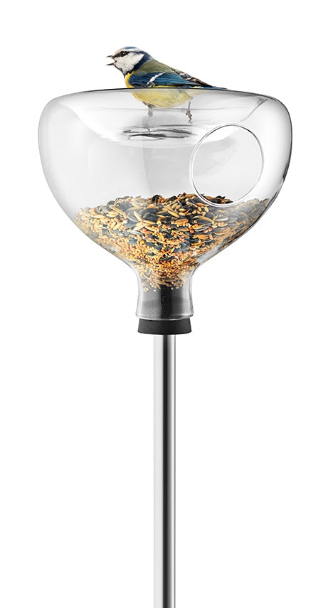 Vogelhäuschen aus Glas mit Vogeltränke