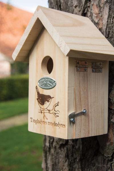 Nistkasten Zaunkönig Silhouette