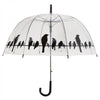 Regenschirm transparente Vögel auf Draht