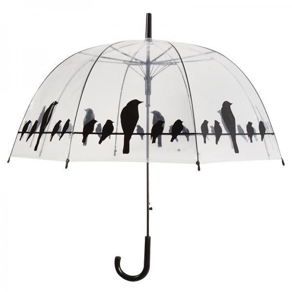 Regenschirm transparente Vögel auf Draht