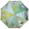 Regenschirmvögel