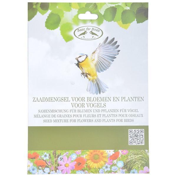 Samen für vogelanziehende Blumen