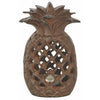 Ananas-Laterne