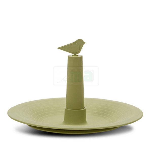 Vogelbadfink Olivgrün