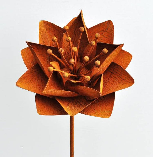 ROST - Rostblume 90.HT95136-2