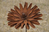 ROST - Rostblume 90.HT90838-0