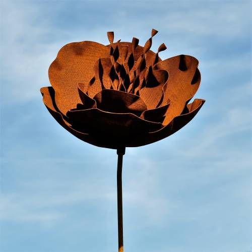 ROST - Rostblume 90.HT95056-0