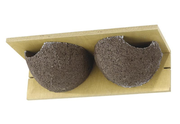 Mehlschwalbennest doppelt