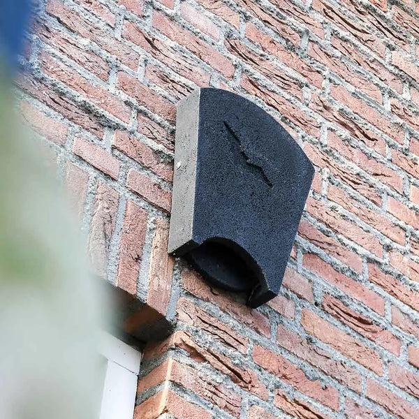 Fledermauskasten Beaumaris