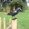 Esschert Design - Vogelscheuche Krähe