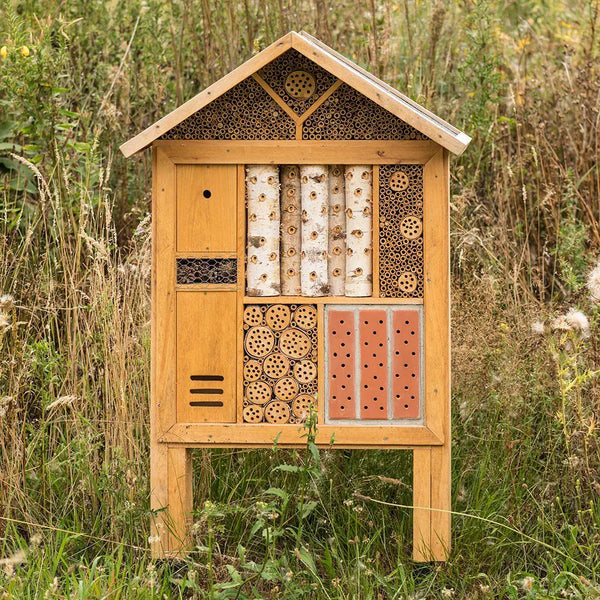 Insektenhotel Korsika