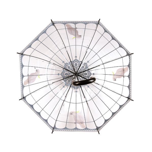 Regenschirm transparenter Vogelkäfig