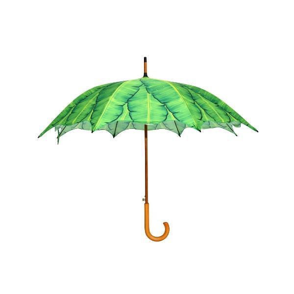 Regenschirm-Bananenblätter