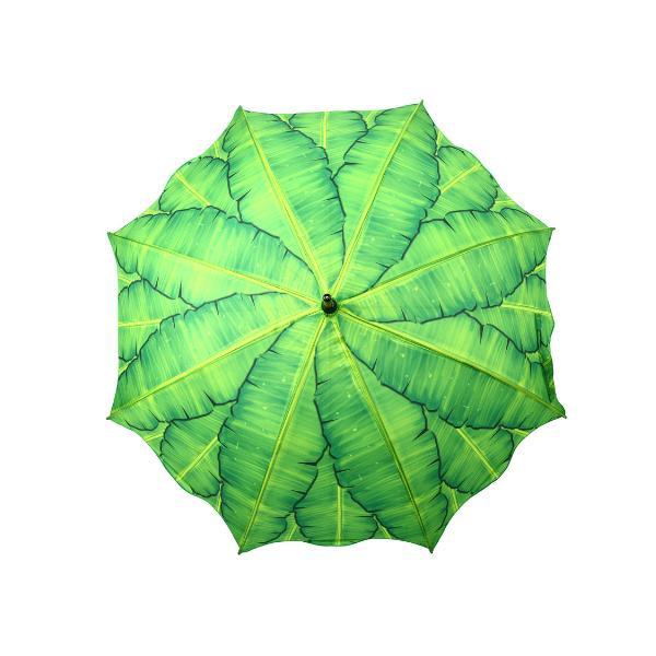 Regenschirm-Bananenblätter