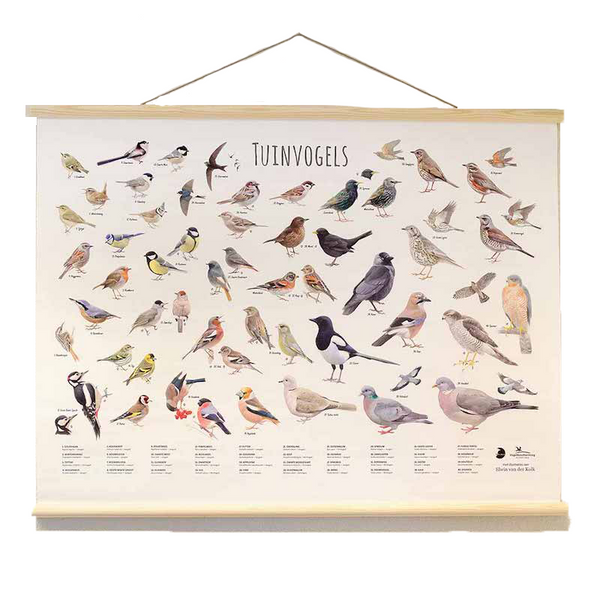 Schautafel Gartenvögel