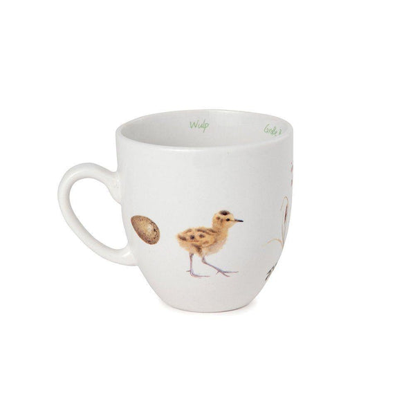 Tasse Brachvogel