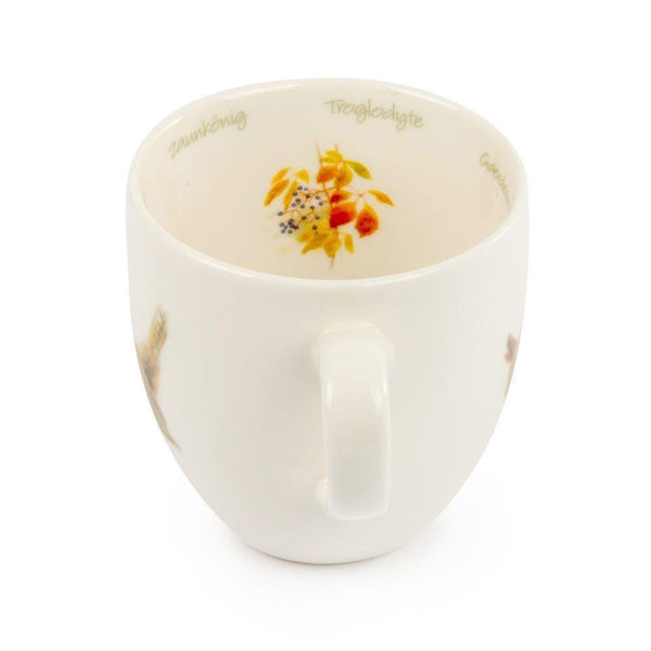 Becher Zaunkönig