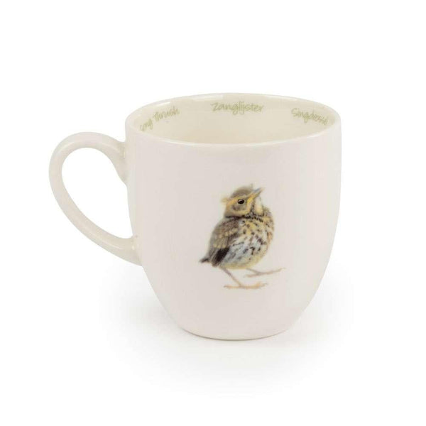 Becher Singdrossel