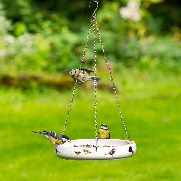 Futternapf Gartenvögel - Elwin van der Kolk