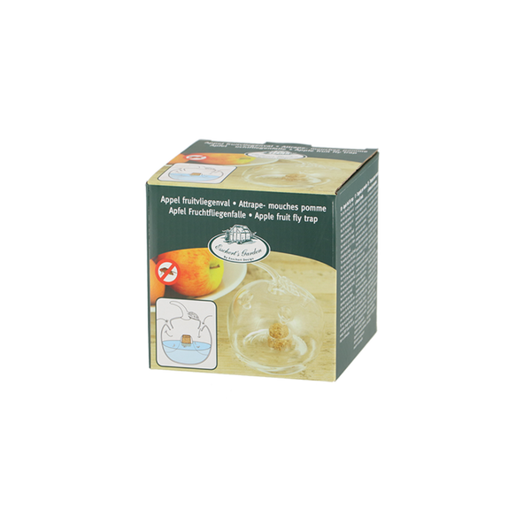 Fruchtfliegenfalle Apfel