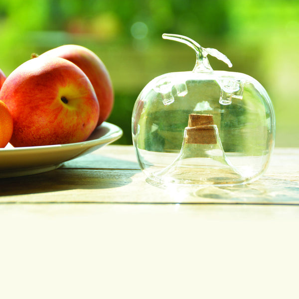 Fruchtfliegenfalle Apfel