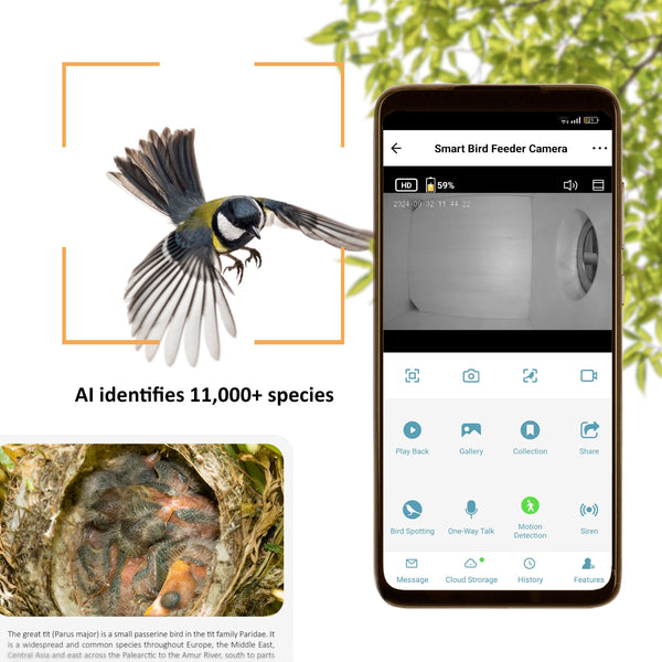 Tarn-Vogelhaus EZ-NestEye mit KI-Kamera