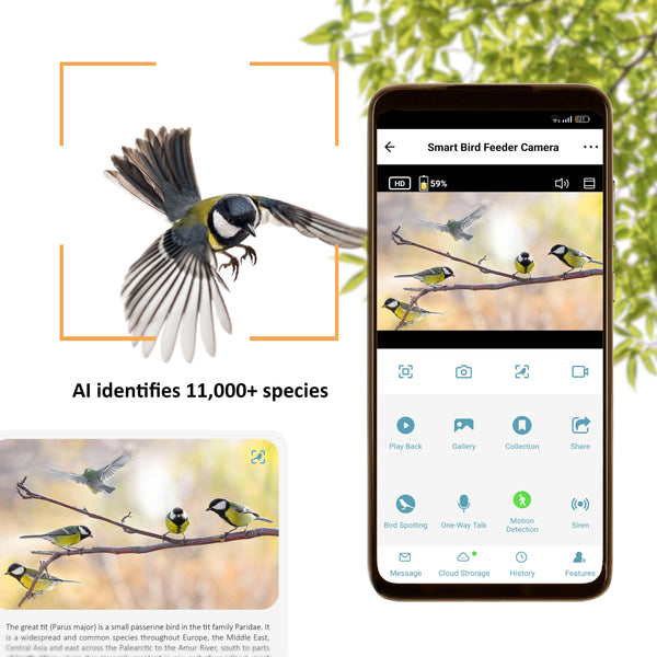 Camouflage EZ-BirdFeed - Vogelfutterspender mit KI-Kamera