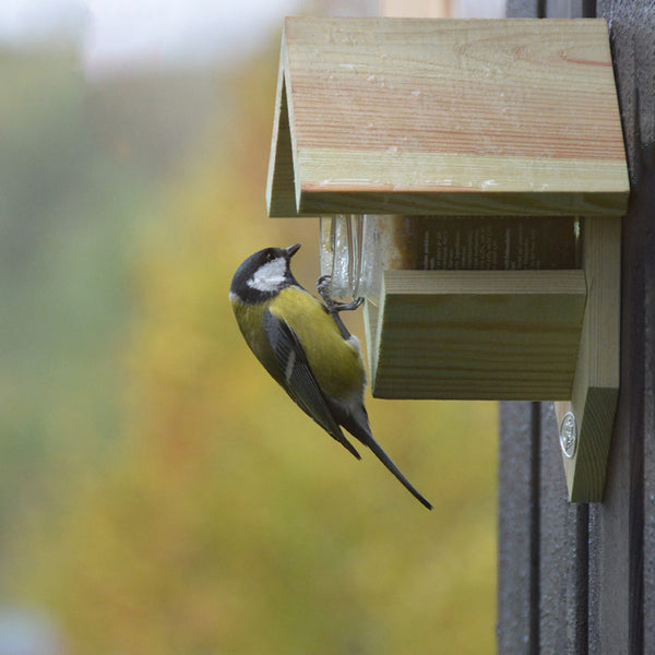 Erdnussbutterhaus aus altem Holz