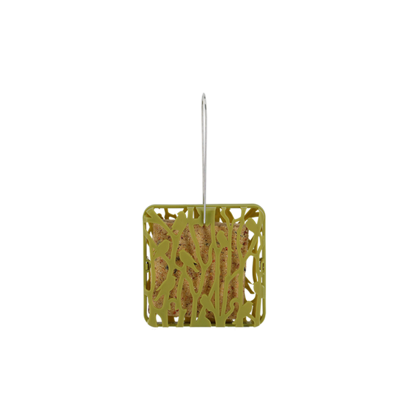 Chiffchaff Fettblockhalter