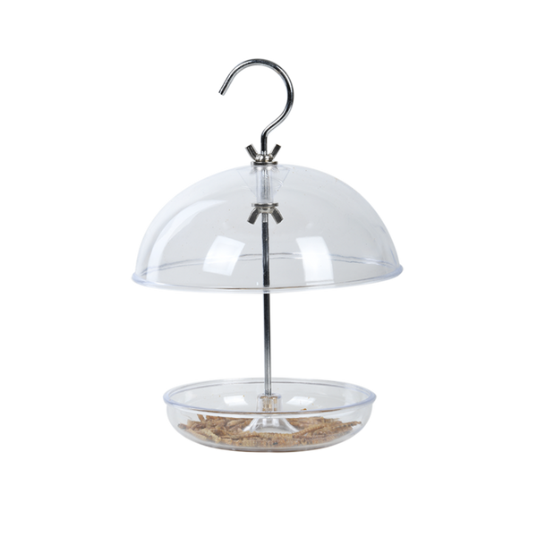 Robin-Futterhaus aus Acryl