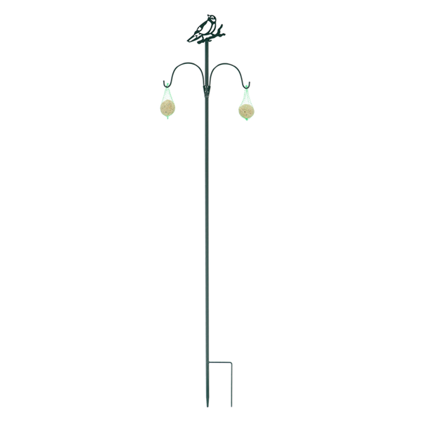 Futterstelle Vogel grüner Arsch.