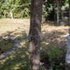 Esschert Design kattenafweergordel voor bomen