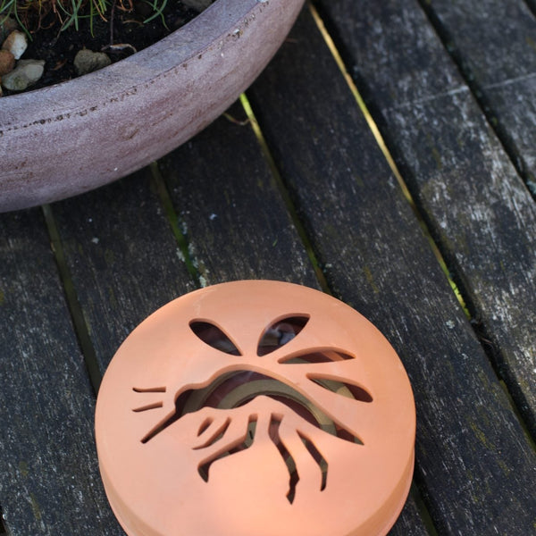 Zitrone. Terrakotta-Spiralen