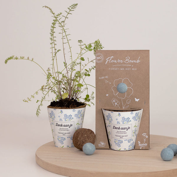 Grow-Kit "Denk aan je" mit Vergissmeinnicht-Samenbombe