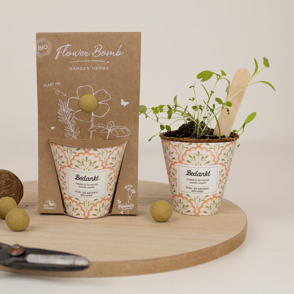 Grow-Kit „Danke“ mit Garten- und Küchenkräutermischung-Samenbombe