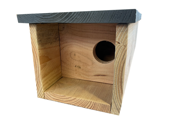 Kleine Eulenbox
