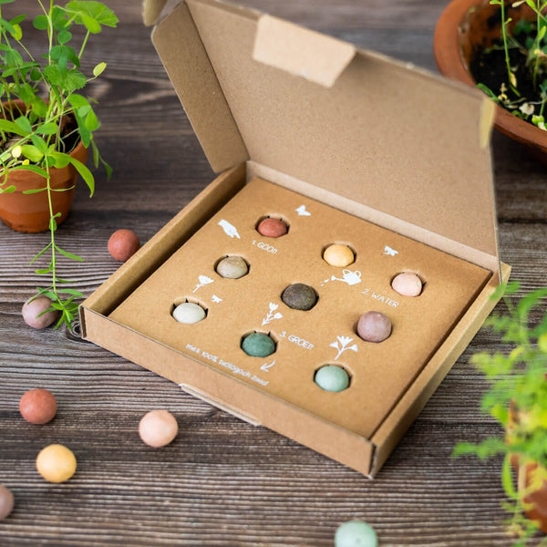 Blossombs - Geschenkbox Medium