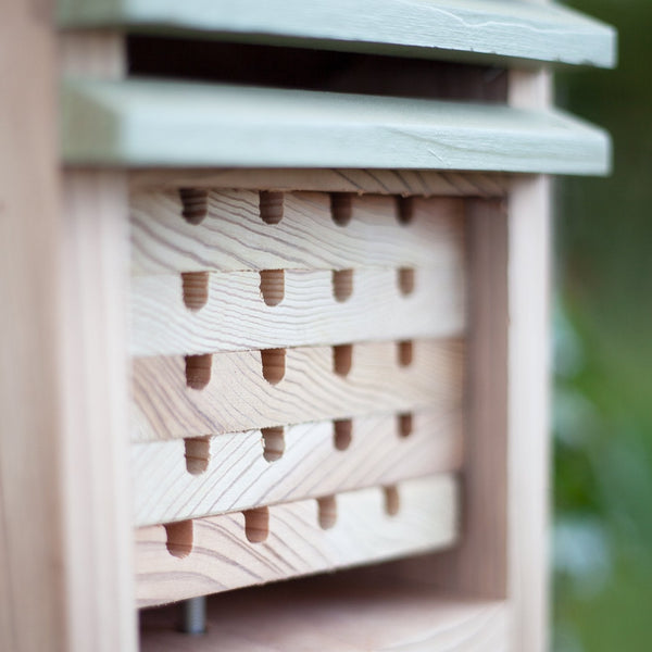 Insektenstudienzentrum