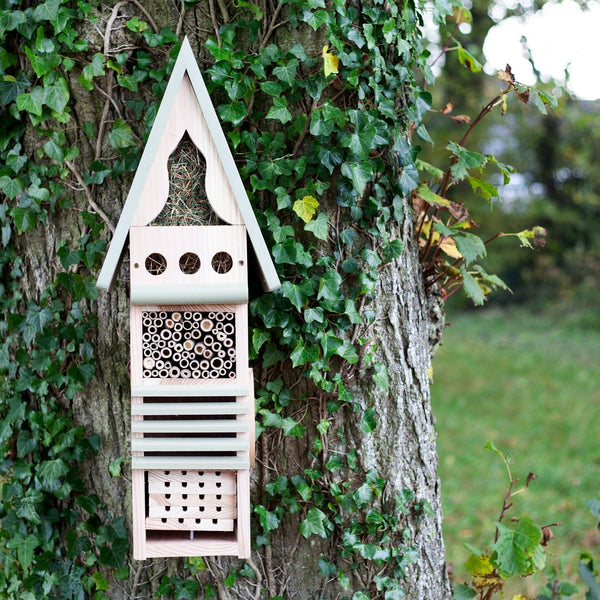 Insektenstudienzentrum