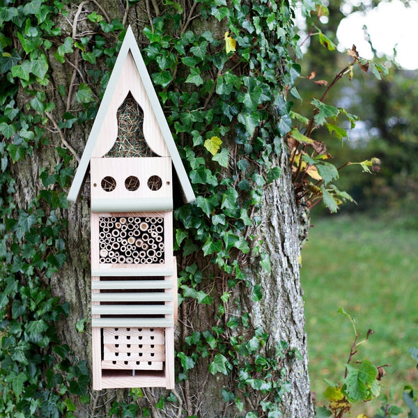 Insektenstudienzentrum