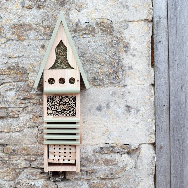 Insektenstudienzentrum