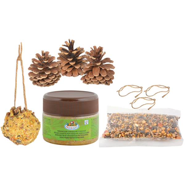 Vogelfutterspender Tannenzapfen zum Selbermachen