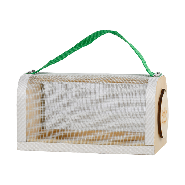 Insekten-Studienkasten aus Holz