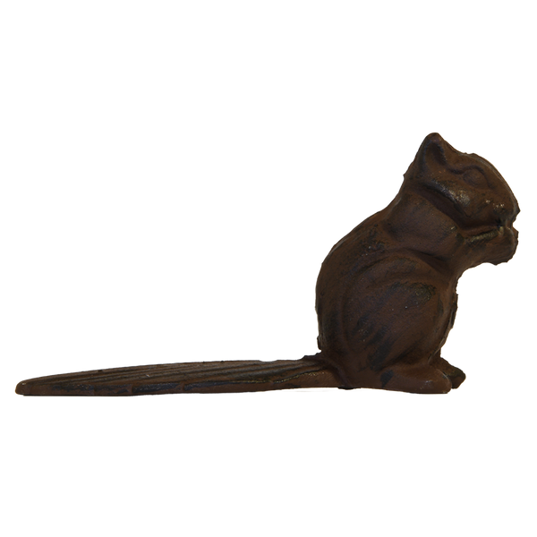 Türkeil Eichhörnchen