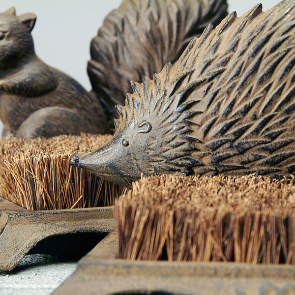 Fußfeger-Igel