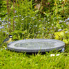 Wasser ist Leben Birdbath und Trinker