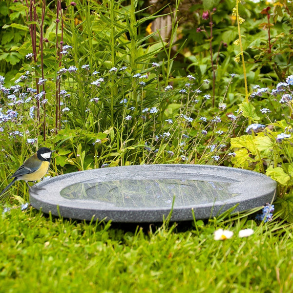 Wasser ist Leben Birdbath und Trinker