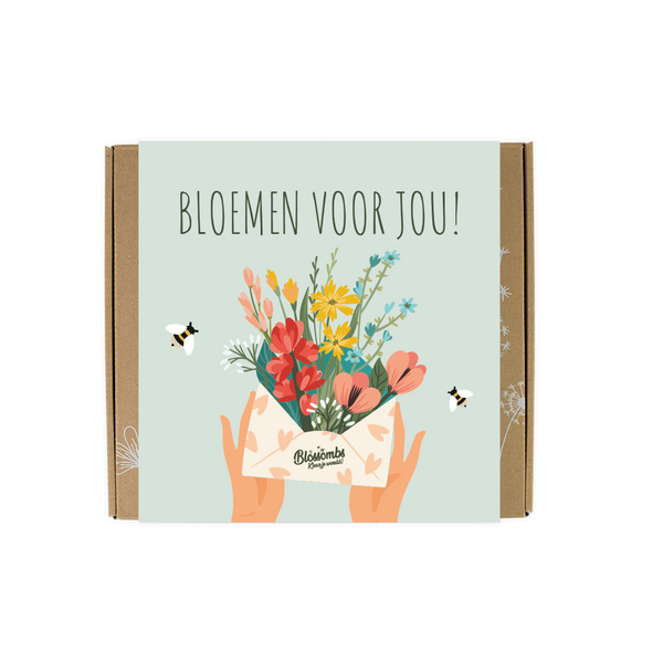 Blossombs Geschenkset – Blumen für Dich (Mittel) | Nachhaltiges Geschenk mit Blumenbomben