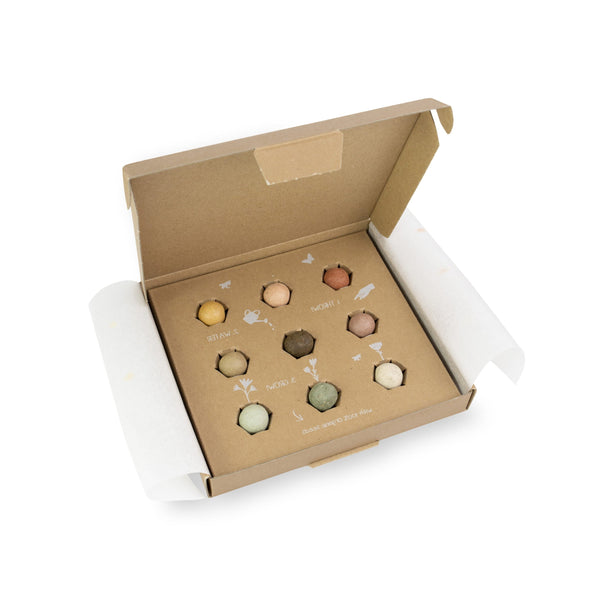 Blossombs Geschenkset – Blumen für Dich (Mittel) | Nachhaltiges Geschenk mit Blumenbomben