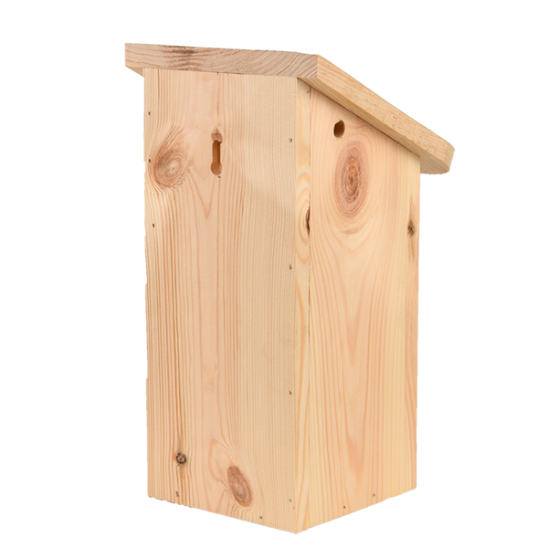 Positiver Blaumeisennistkasten